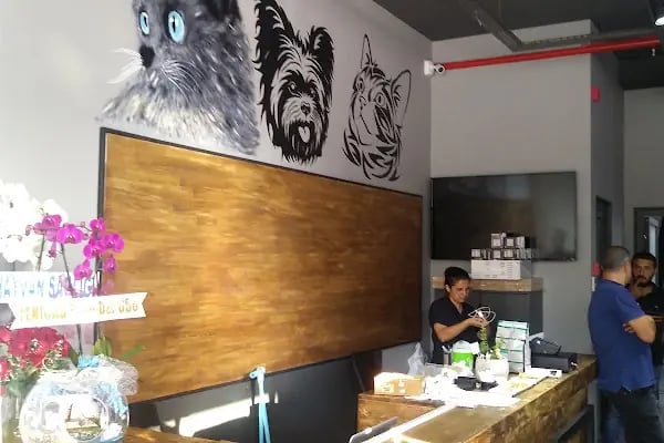 GREENVET VETERİNER POLİKLİNİĞİ - Resim 8