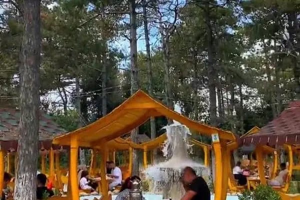 Gülmahal Restaurant Kafe, Kendin Pişir Mangal ve Serpme Kahvaltı - Resim 7