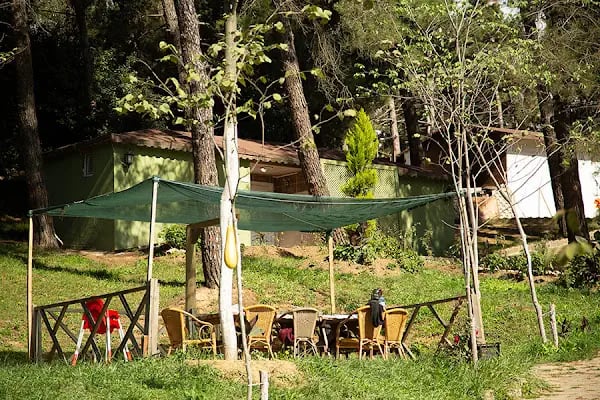 Gülmahal Restaurant Kafe, Kendin Pişir Mangal ve Serpme Kahvaltı - Resim 11