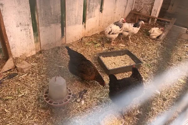 Özel Minik Kalpler Anaokulu - Resim 4