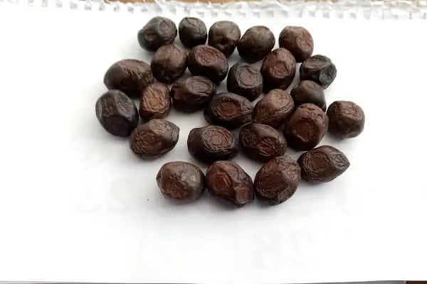 Şamlıoğlu Zeytin Ve Zeytinyağı Fabrikası - Resim 18