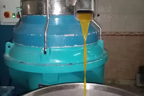 Şamlıoğlu Zeytin Ve Zeytinyağı Fabrikası - Resim 6