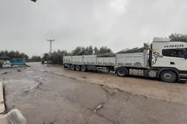 Şamlıoğlu Zeytin Ve Zeytinyağı Fabrikası - Resim 20