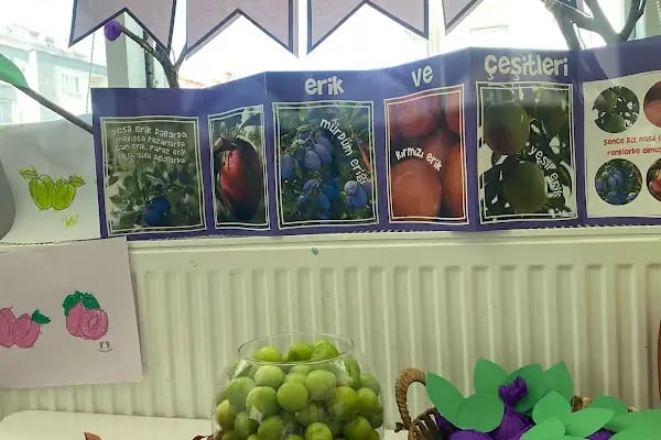 Özel Hoşgör Hayriye Özbudak Anaokulu - Resim 8