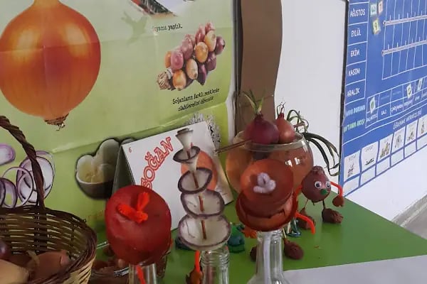 Özel Hoşgör Hayriye Özbudak Anaokulu - Resim 16