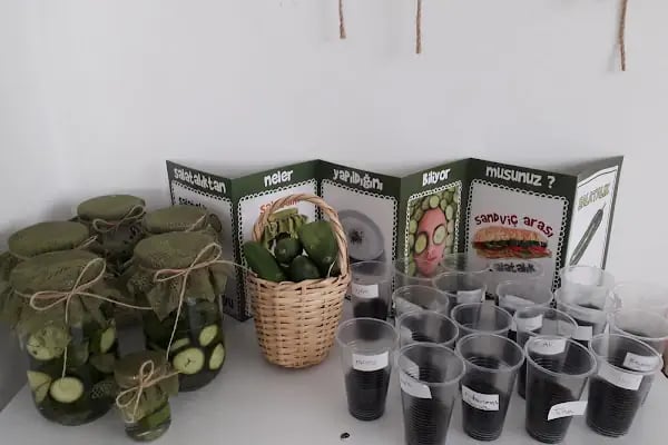 Özel Hoşgör Hayriye Özbudak Anaokulu - Resim 7