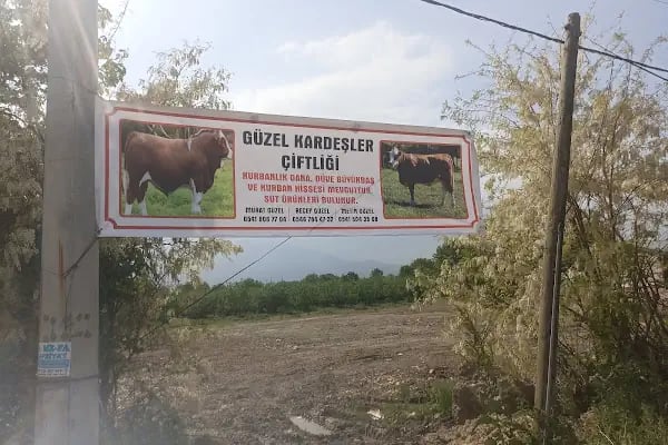 Güzel kardeşler çiftliği - Resim 5