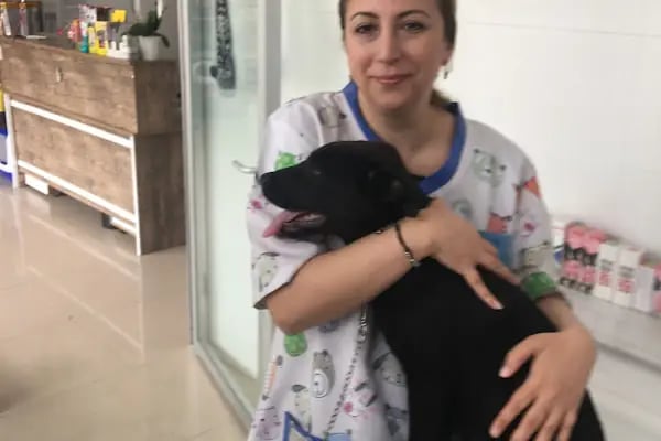 Sezen veteriner kliniği - Resim 19