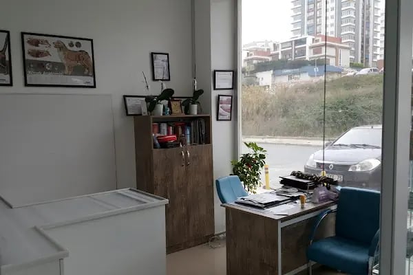 Sezen veteriner kliniği - Resim 16