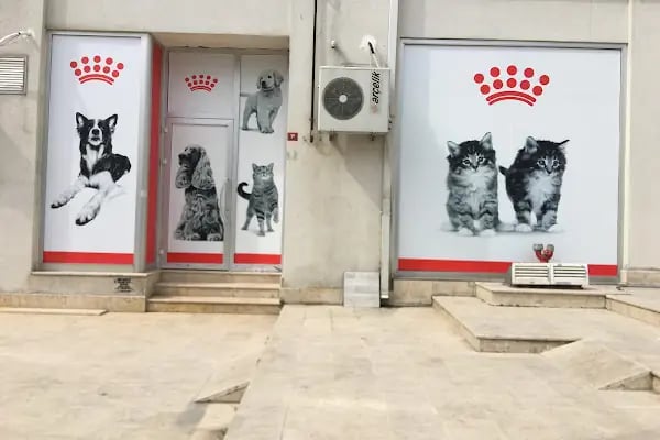 Sezen veteriner kliniği - Resim 6