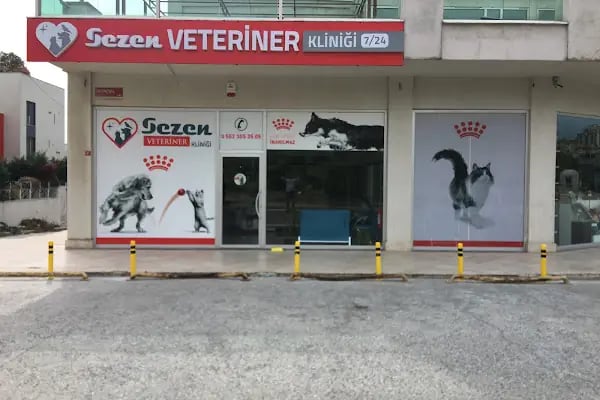 Sezen veteriner kliniği - Resim 3