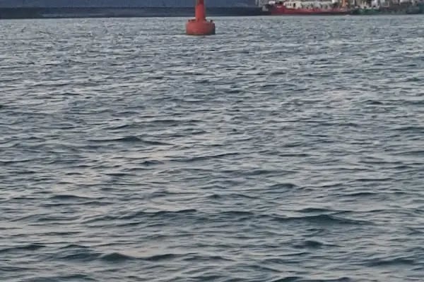 Shell&amp;Turcas Petrol A.Ş. Derince Dolum Tesisleri - Resim 1