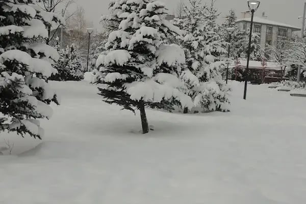 Kosova Parkı - Resim 7