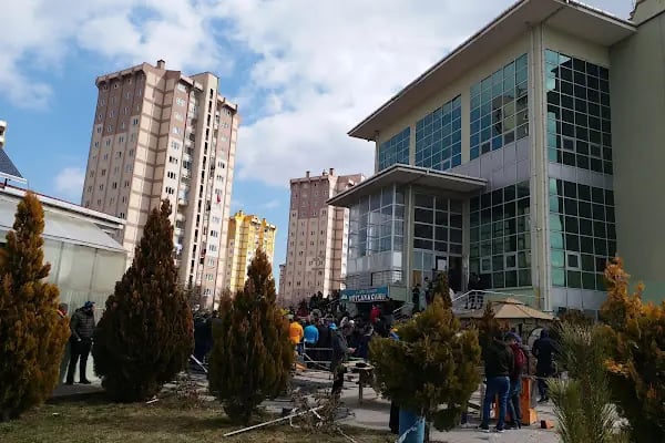 Karacaören mevlana cami - Resim 8