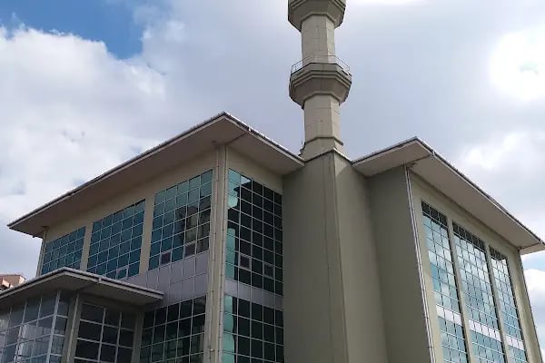 Karacaören mevlana cami - Resim 2