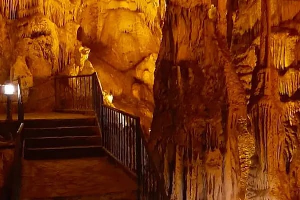 Yenibosna Şehir Korusu - Resim 12