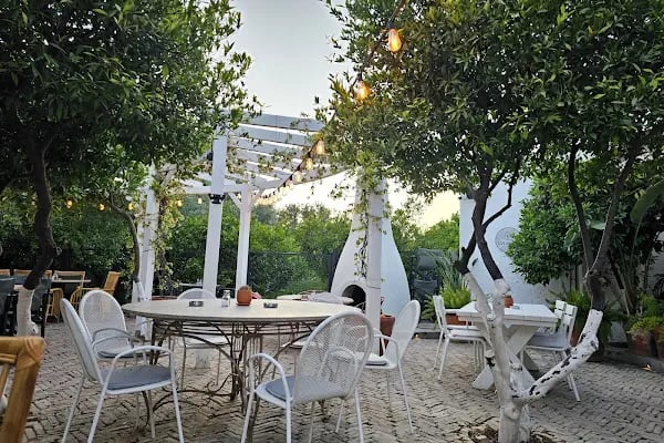 Vamos Bodrum - Resim 3