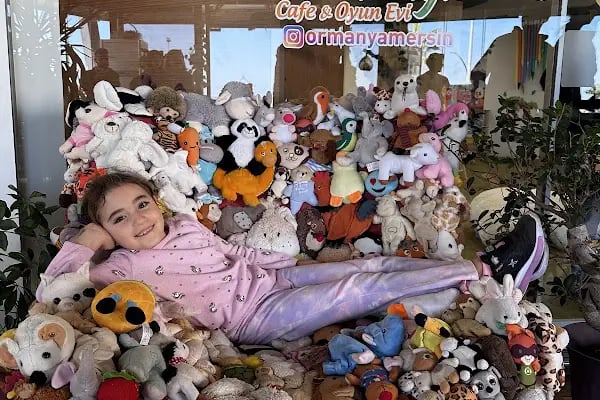 Ormanya Cafe ve Oyun Evi / Mersin - Resim 5