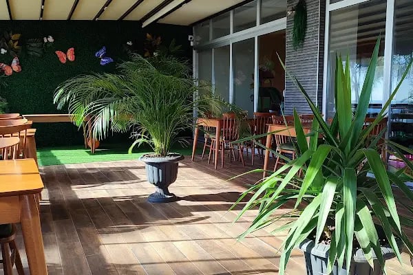 Ormanya Cafe ve Oyun Evi / Mersin - Resim 16