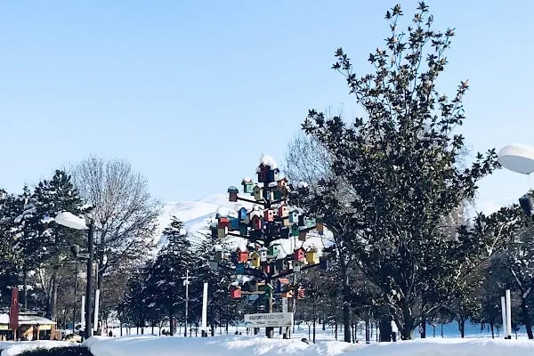 Avşar Sinemaları - Malatya Park AVM - Resim 12