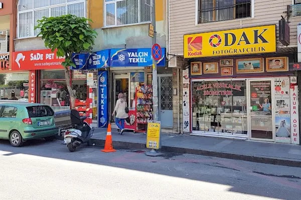 Odak Fotoğrafçılık - Resim 17