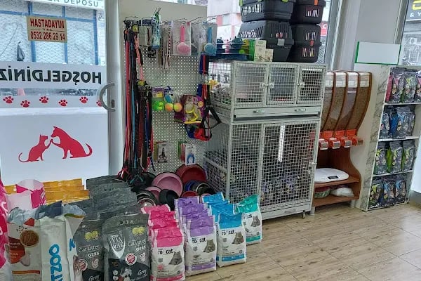 Beker Veteriner Kliniği MERSİN - Resim 15