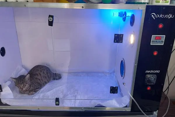 Beker Veteriner Kliniği MERSİN - Resim 5