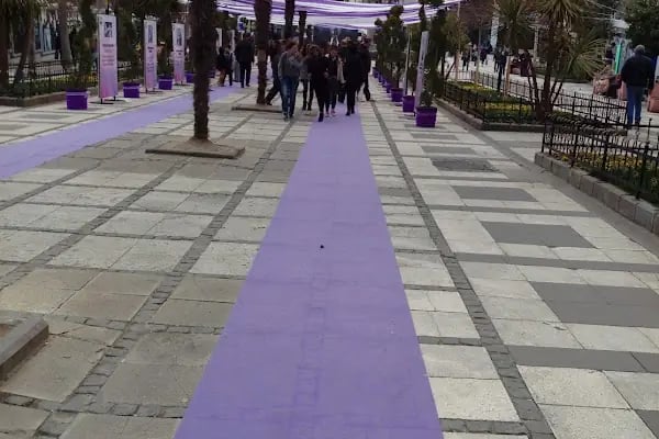 Avcılar Merkez Parkı - Resim 17