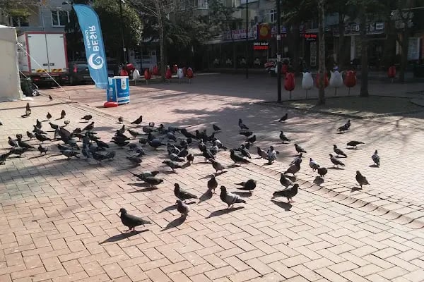 Avcılar Merkez Parkı - Resim 6