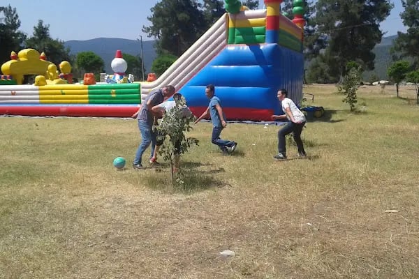 Karagöz Şenlik Alanı - Resim 18