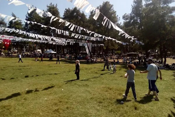 Karagöz Şenlik Alanı - Resim 12