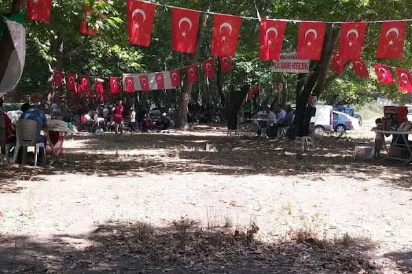 Karagöz Şenlik Alanı - Resim 11