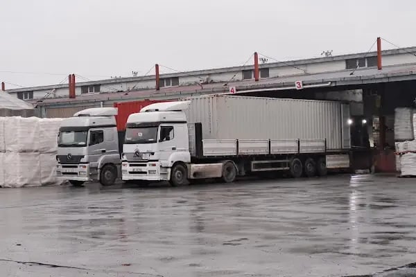 Ambarlı Limanı CVK Nakliyat - Resim 2
