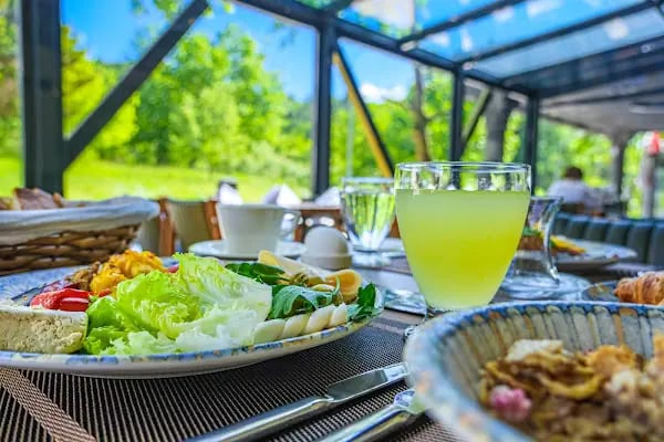 Vital Thermal Hotel Yalova Termal - Resim 13