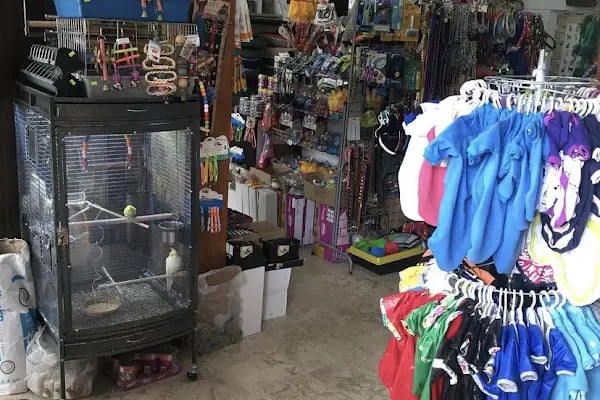 Mavi Mercan Pet Shop - Resim 6