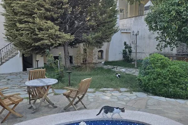 Tire Belediyesi Gülcüoğlu Konakları - Resim 3