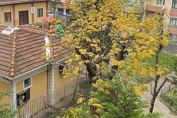 BAĞCILAR BELEDİYESİ FEVZİ ÇAKMAK PARKI - Resim 2
