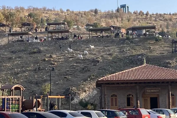 Kartaltepe Kent Ormanı Mesire Alanı - Resim 17