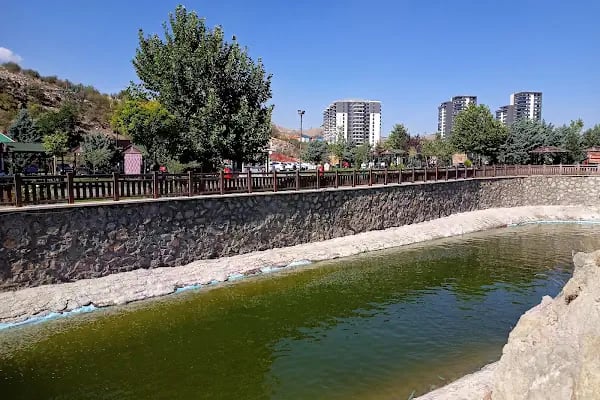 Kartaltepe Kent Ormanı Mesire Alanı - Resim 15