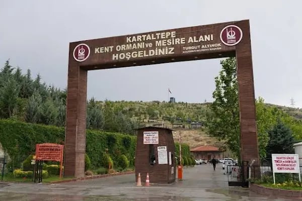 Kartaltepe Kent Ormanı Mesire Alanı - Resim 20