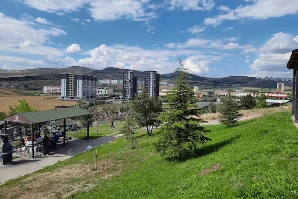Kartaltepe Kent Ormanı Mesire Alanı - Resim 8