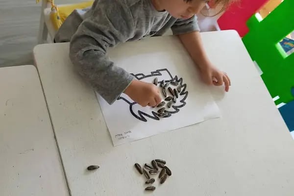 Mavi Yeşil Çizgi Kreş ve Anaokulu - Resim 17