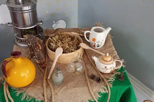 Mavi Yeşil Çizgi Kreş ve Anaokulu - Resim 3