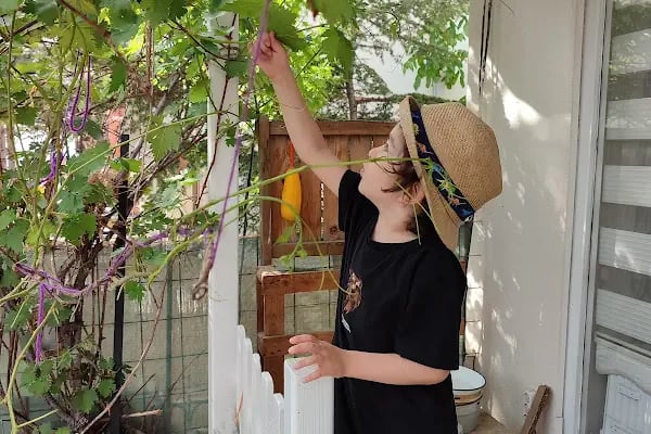 Mavi Yeşil Çizgi Kreş ve Anaokulu - Resim 13