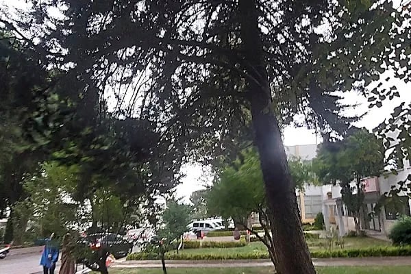 Bursa Teknik Üniversitesi Kütüphanesi - Resim 7