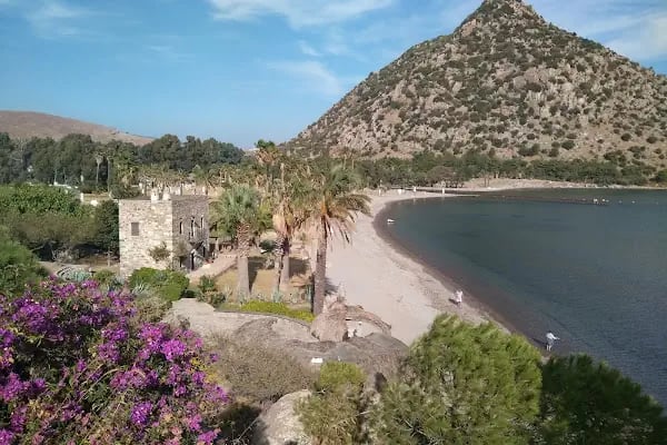 Balmahmut'un Yeri Restoran Motel - Resim 4