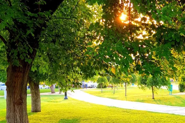 Masal Parkı - Resim 18