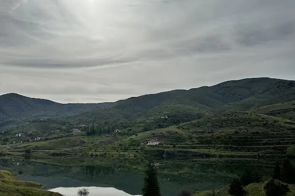 Yaygın Göleti - Resim 2