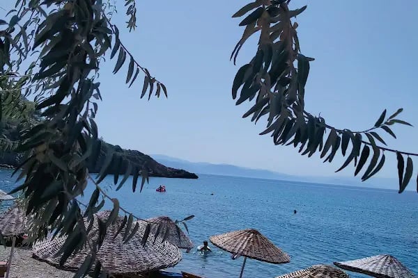 Kargacık Koyu - Plaj - Piknik Alanı - Resim 11