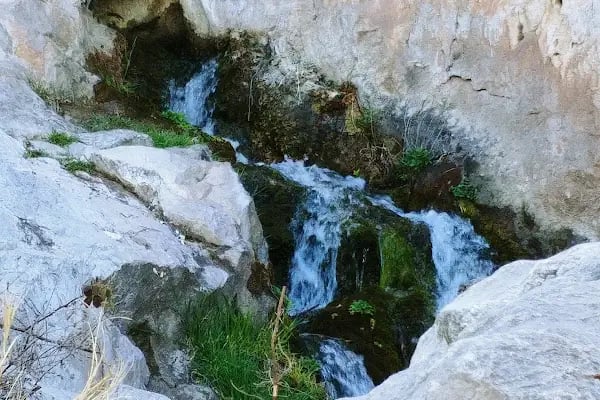 Hatıp Göksu Alabalık Tesisi - Resim 13